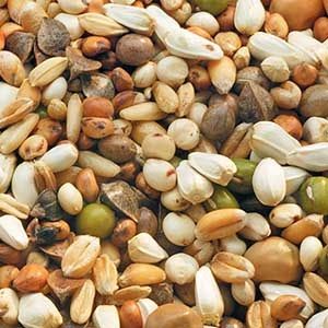 Garvo - Zuivering (5433)