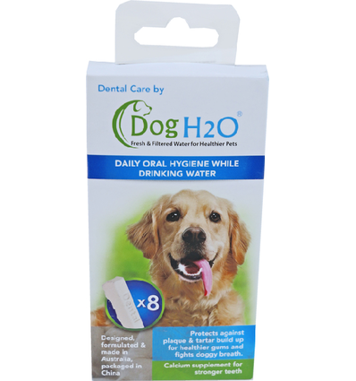 H2O - Dental Care Tabletten