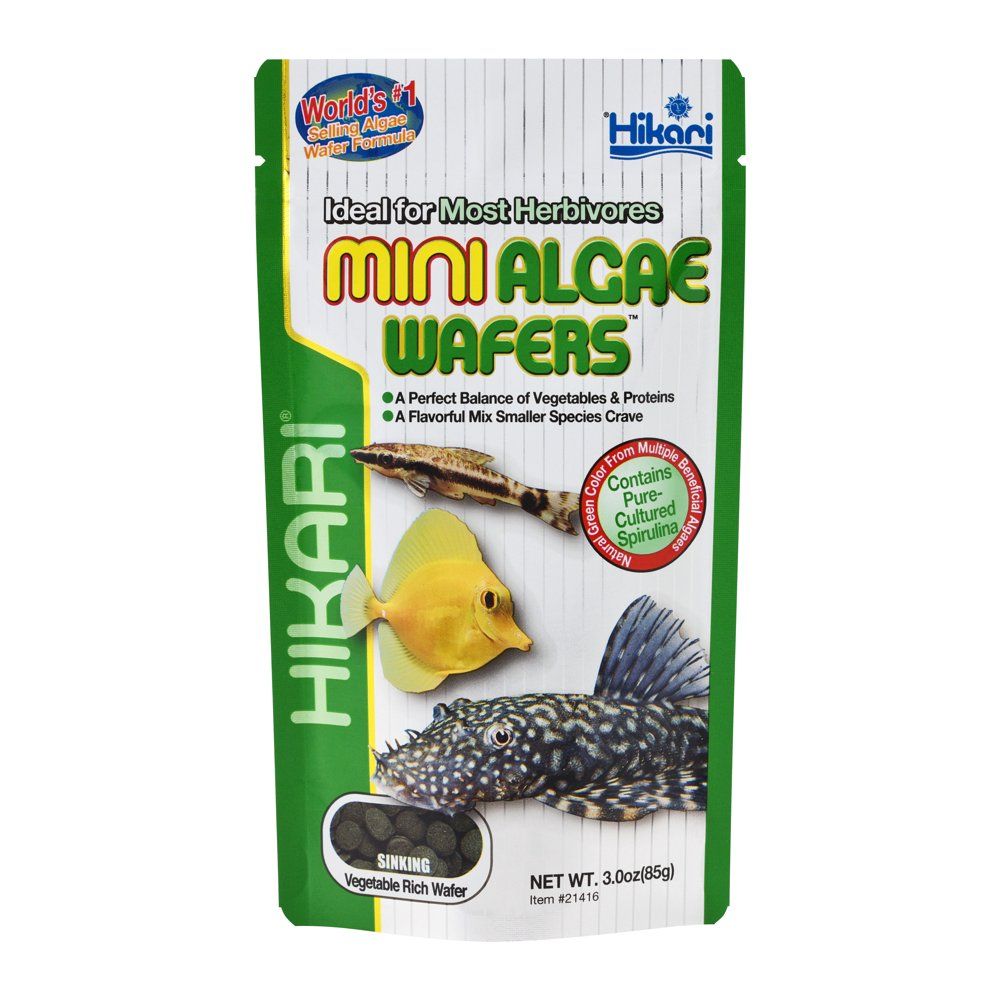 Hikari - Mini Algea Wafers