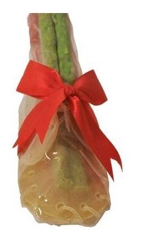 KAUWSCHOEN GEVULD MET MUNCHY STAAFJE