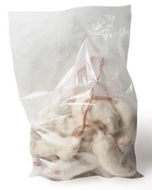 Kiezebrink - Ingevroren Rat Regular 150-250gr.