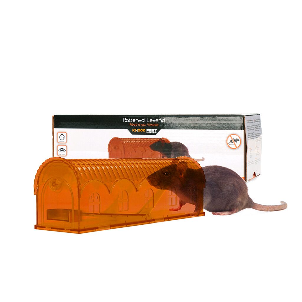 Knock Pest - Rattenval Levend