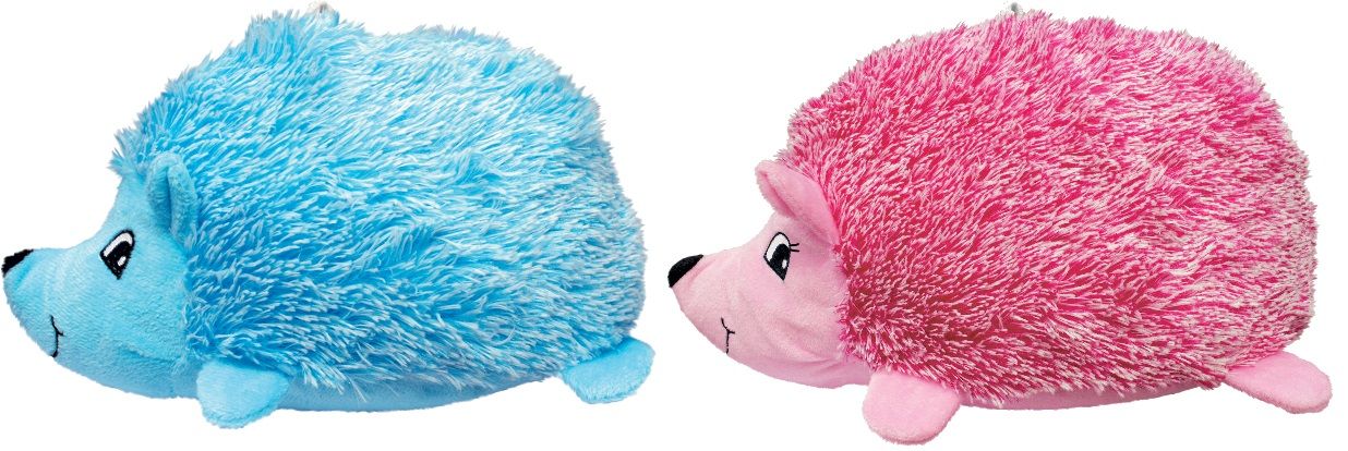 Kong - Hedgehug Puppy