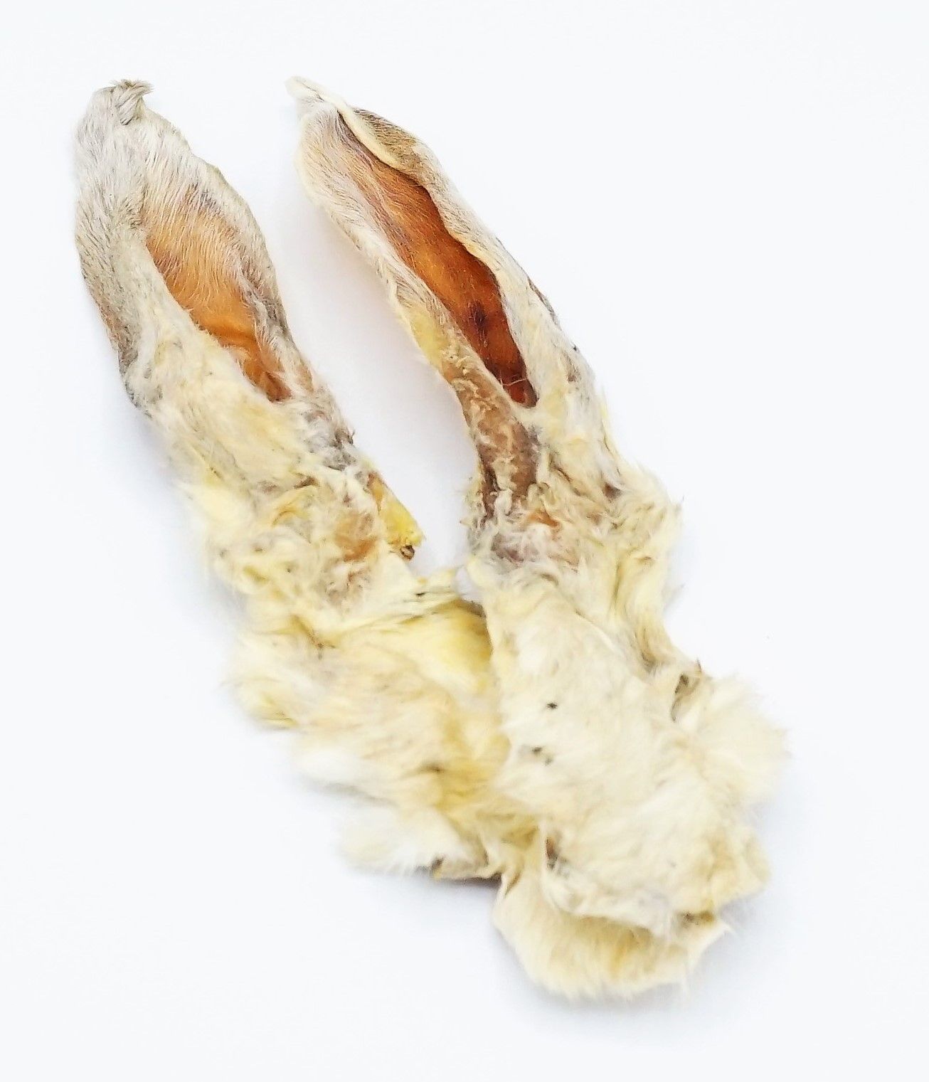 Konijnenoren Met Haar