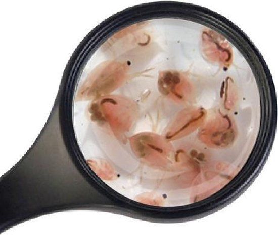 Levende Watervlooien 90 Ml