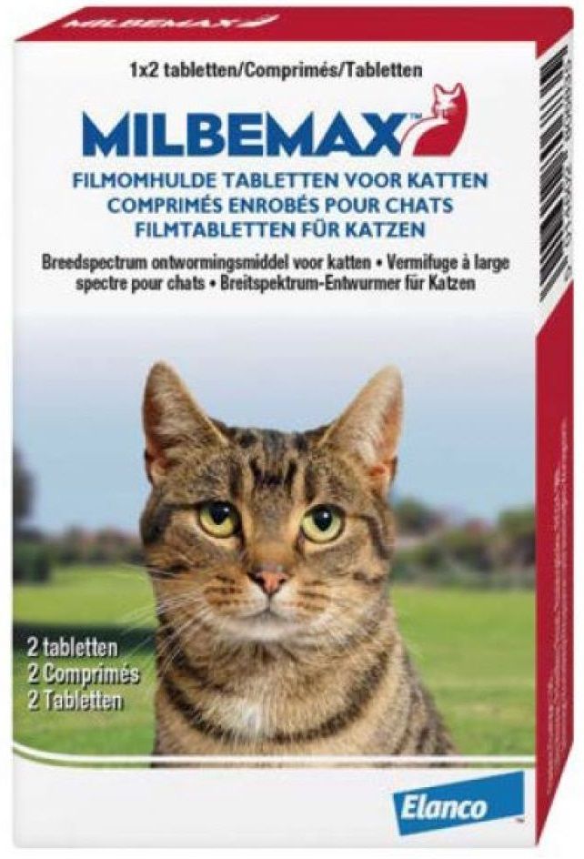 Milbemax - Kat