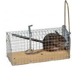 Muizen vangkooi 1-deurs