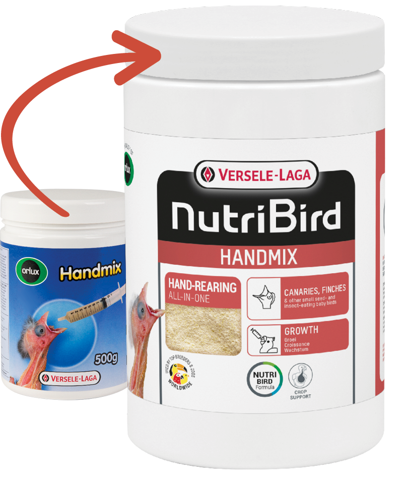 Nutribird - Handmix 500gr