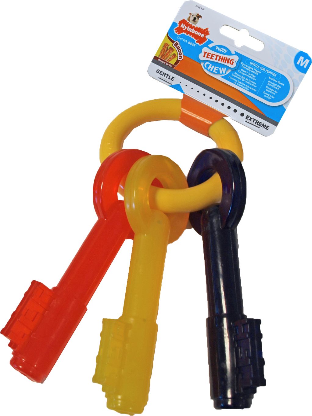 Nylabone - Puppy Chew Teething Key