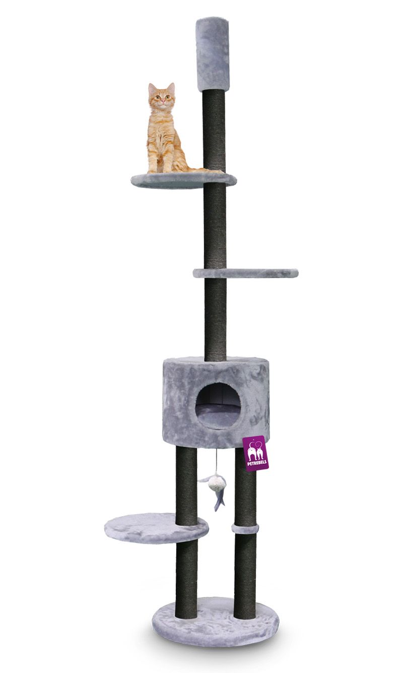 Petrebels - Anna 240