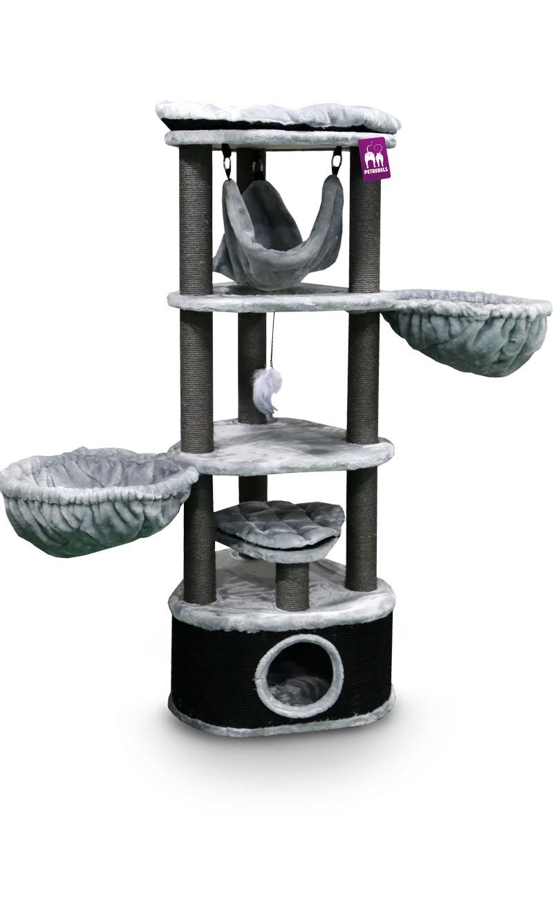 Petrebels - Catharina 160