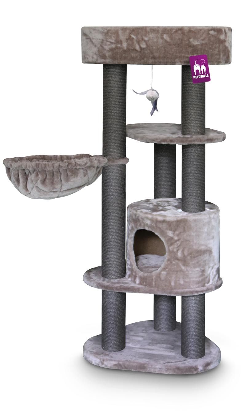 Petrebels - Charlotte 134