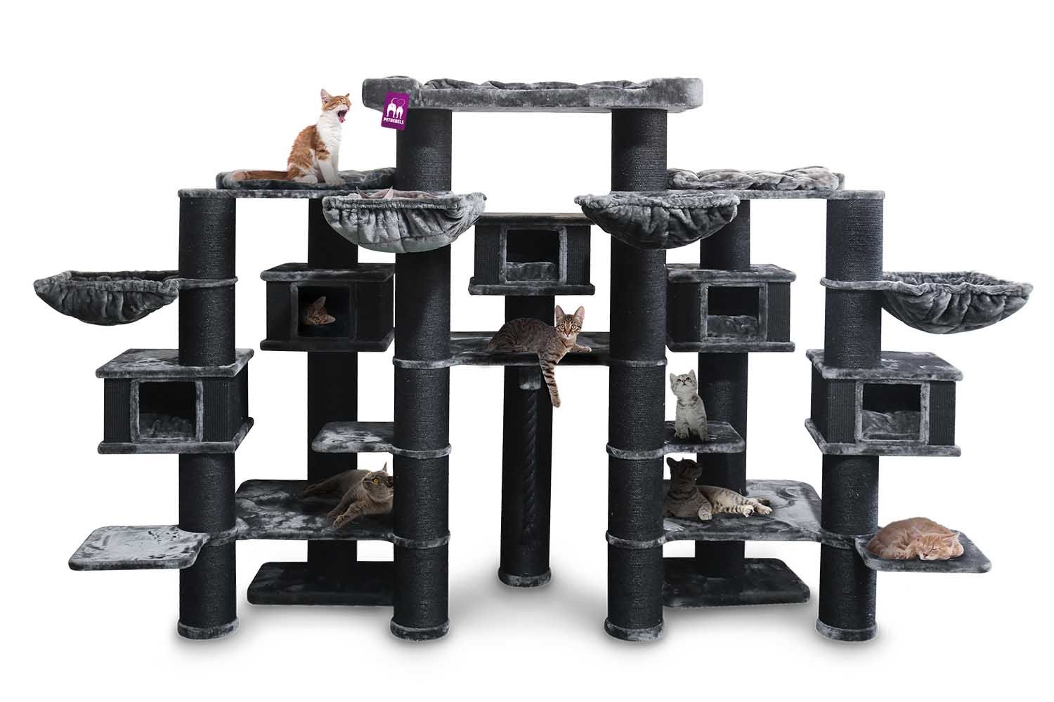 Petrebels - Krabpaal Maine Coon 200