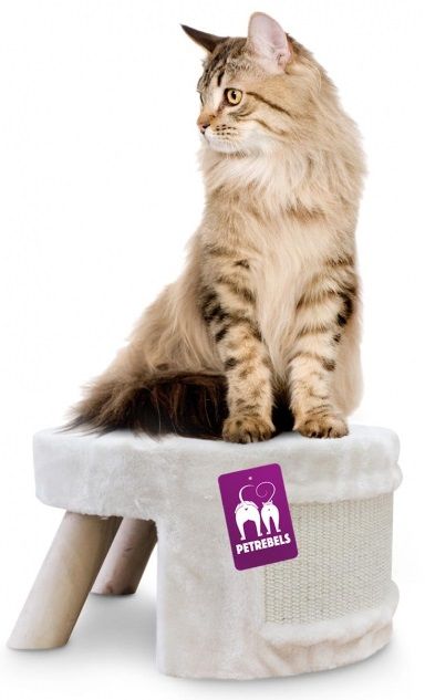 Petrebels - Krabpaal Pasadena 40