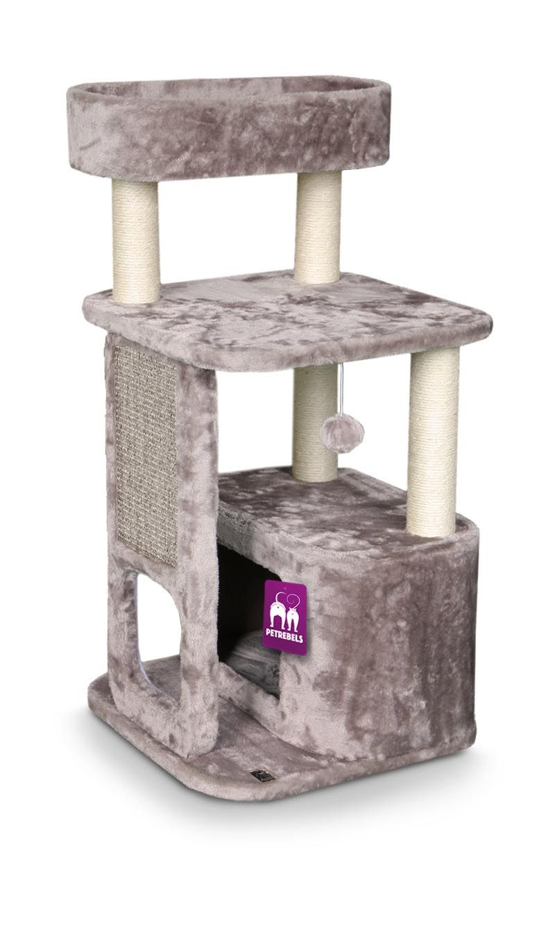 Petrebels - Little Rock 99