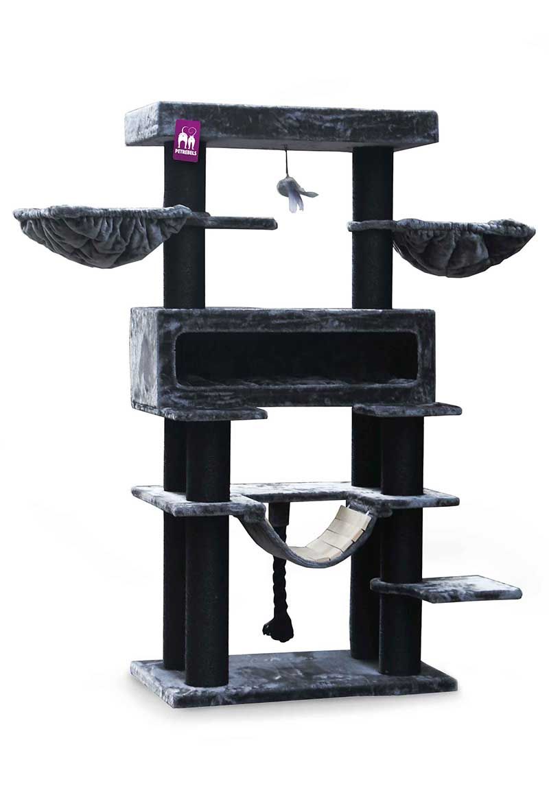 Petrebels - Lookout 198