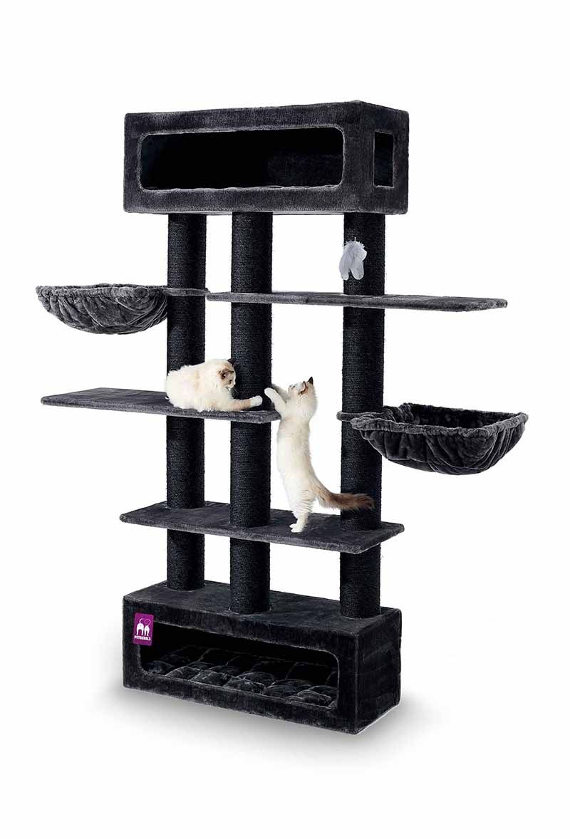 Petrebels - Lookout 215