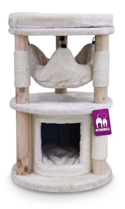 Petrebels - Tampa 70