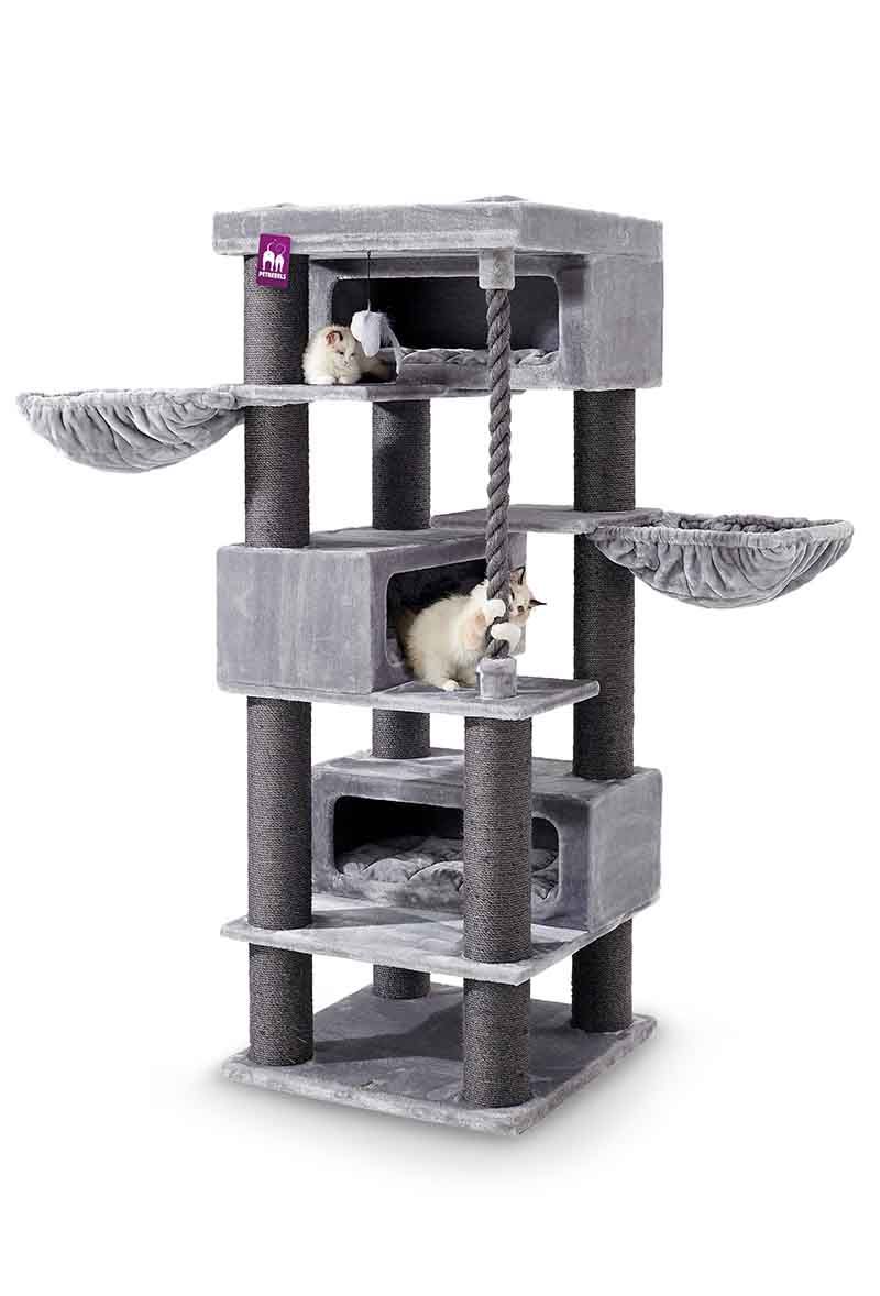 Petrebels - Turnpike 200