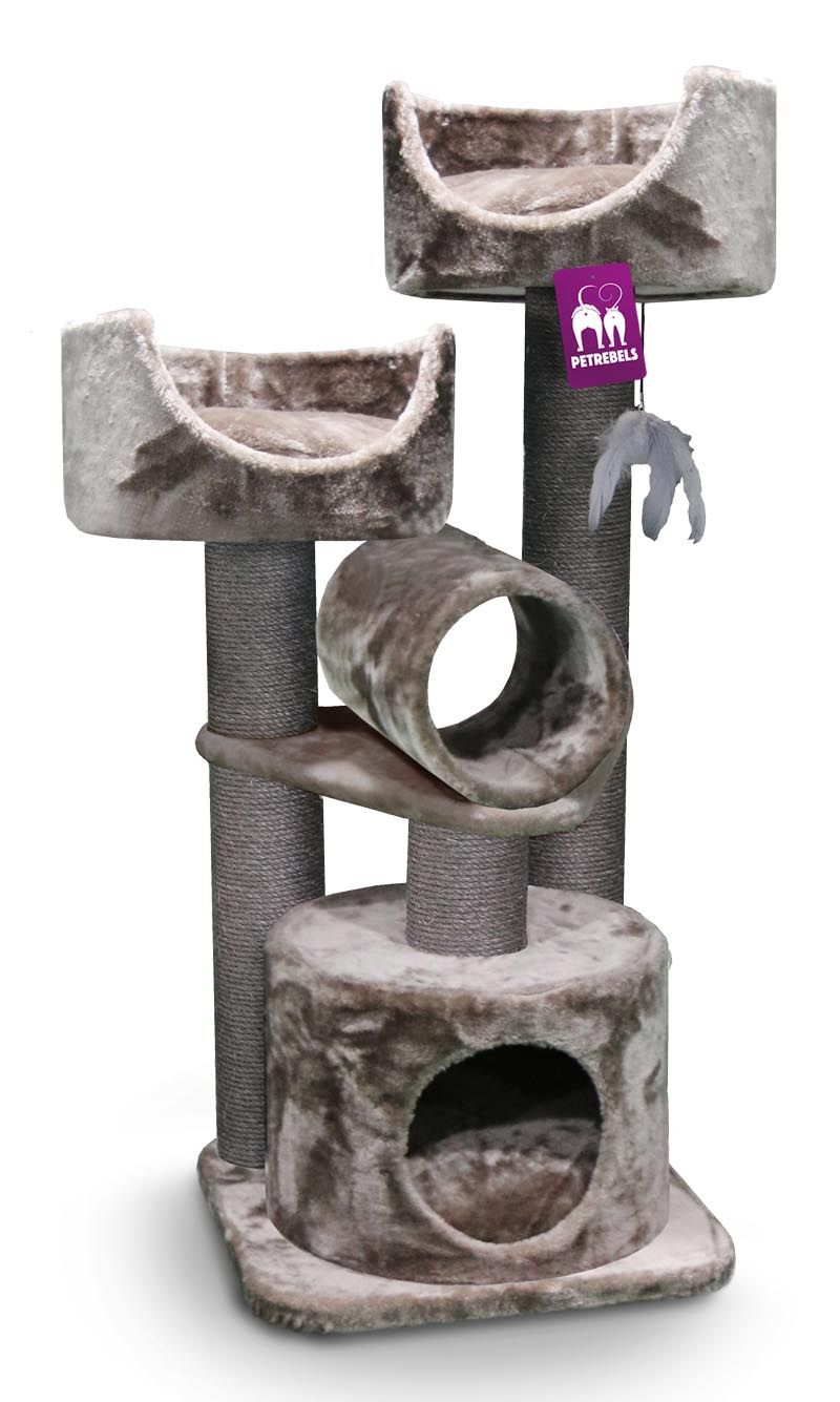 Petrebels - Victoria 125