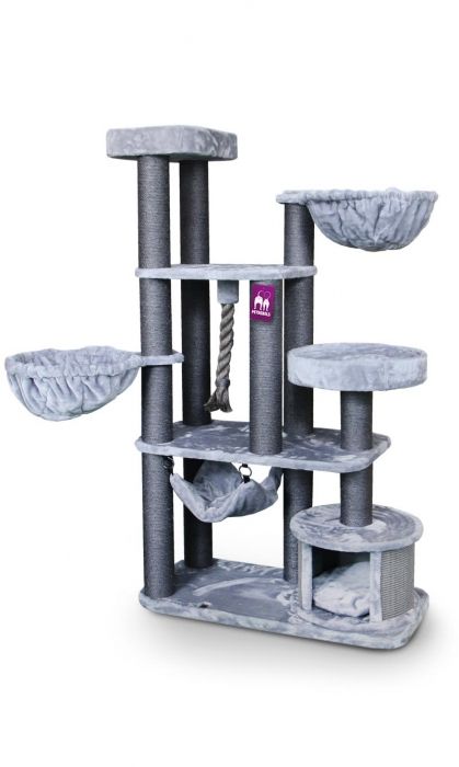 Petrebels - Vista 170