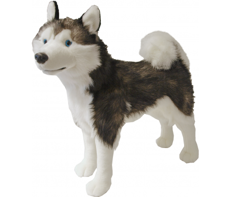 Pluche - Husky staand