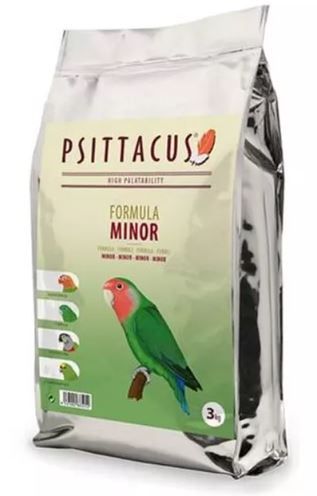 Psittacus - Maintenance Minor