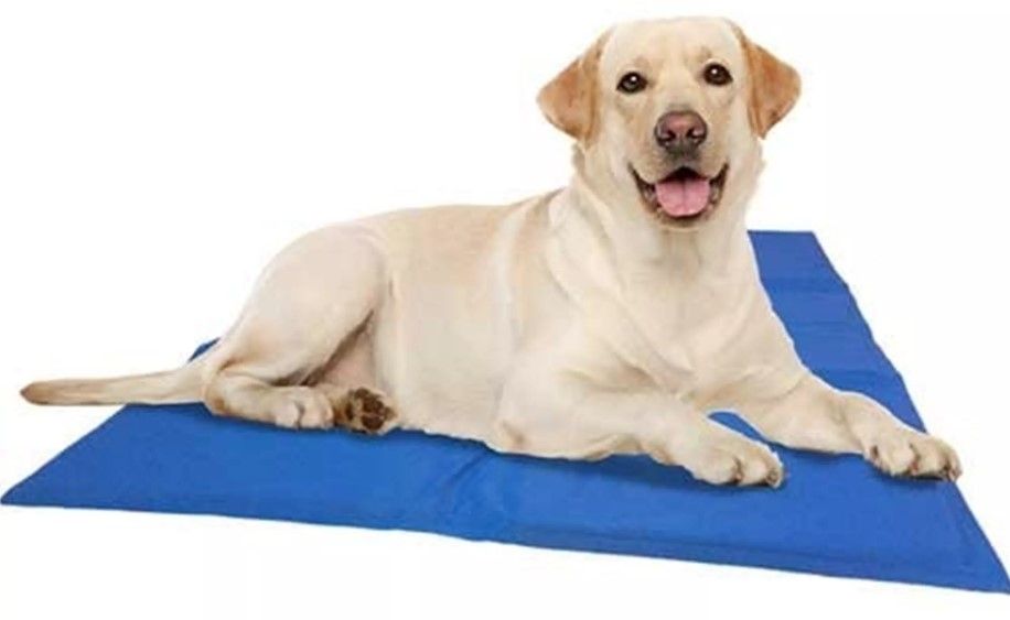 Quapas! - Koelmat voor de hond