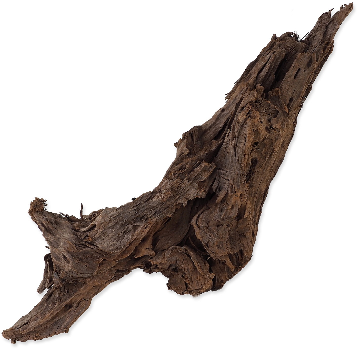 Repti Planet - Driftwood Bulk