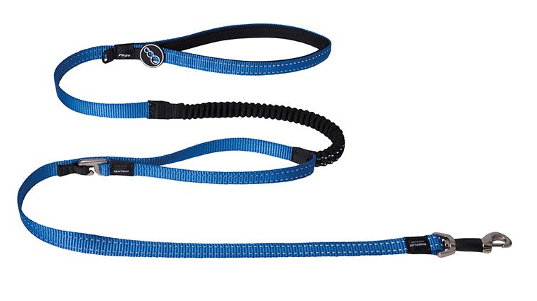 Rogz - Control Lead Blauw
