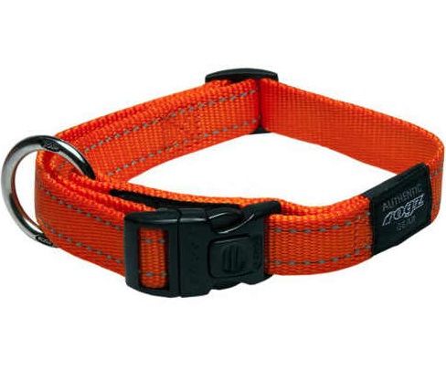 Rogz for dogz - Halsband - Oranje