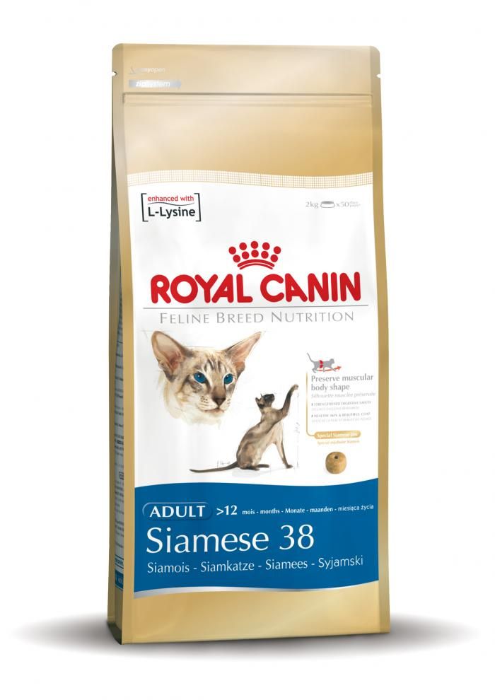 Royal Canin - Siamese 38