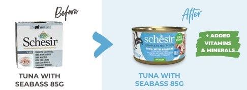 Schesir - in Gelei - Tonijn en Zeebaars