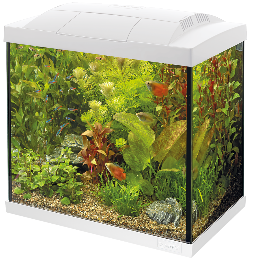 SuperFish - Start 30 Tropical Kit Wit
