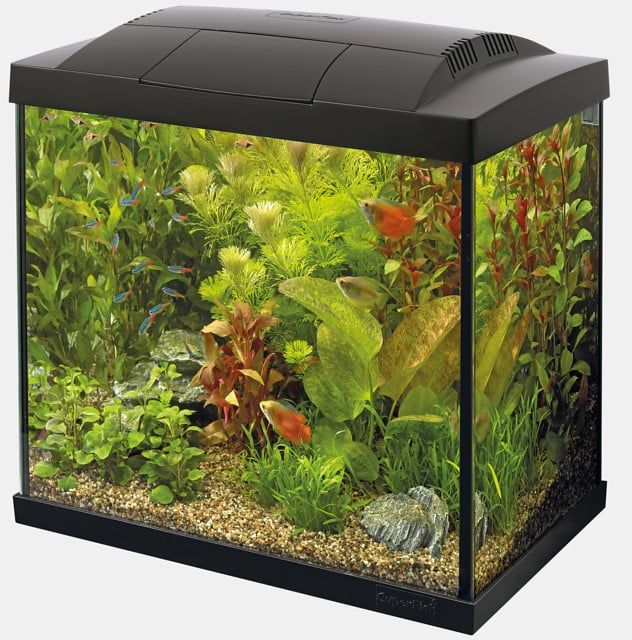 SuperFish - Start 30 Tropical Kit Zwart