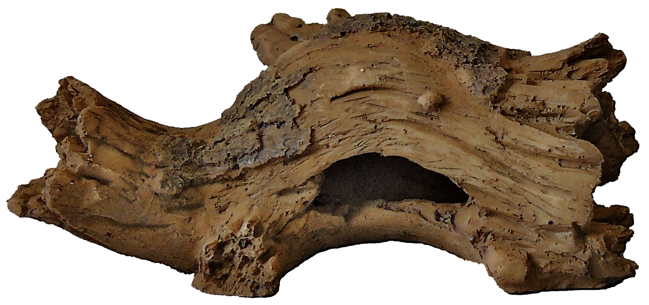 Superfish - Log Hout