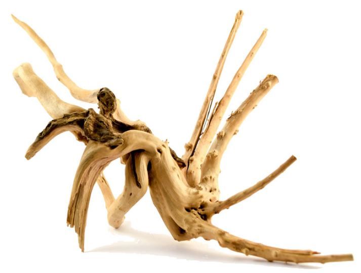 Superfish - Spiderwood Hout