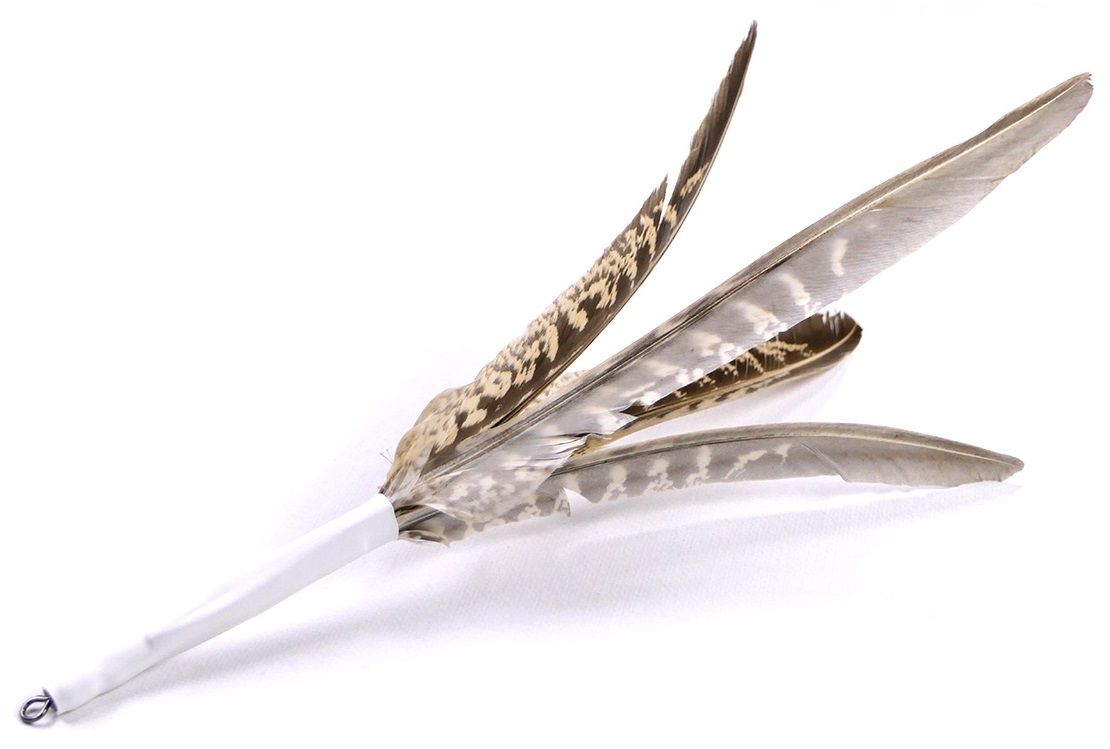 Tabby Tijger - Drone