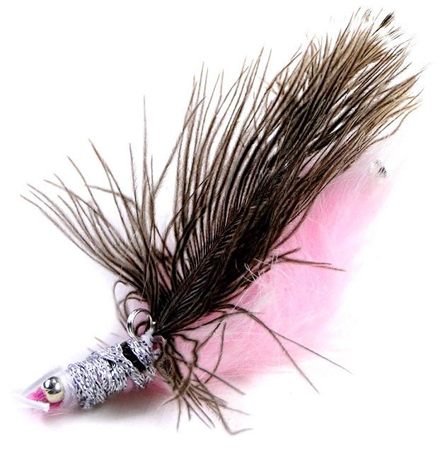 Tabby Tijger - Funky Shrimp