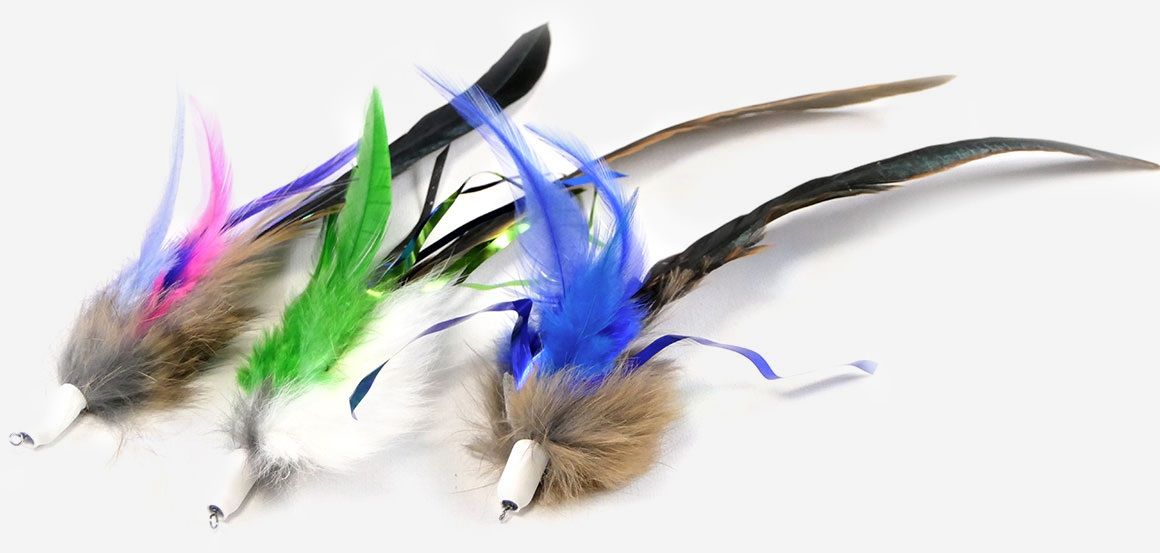 Tabby Tijger - Furr & Feather