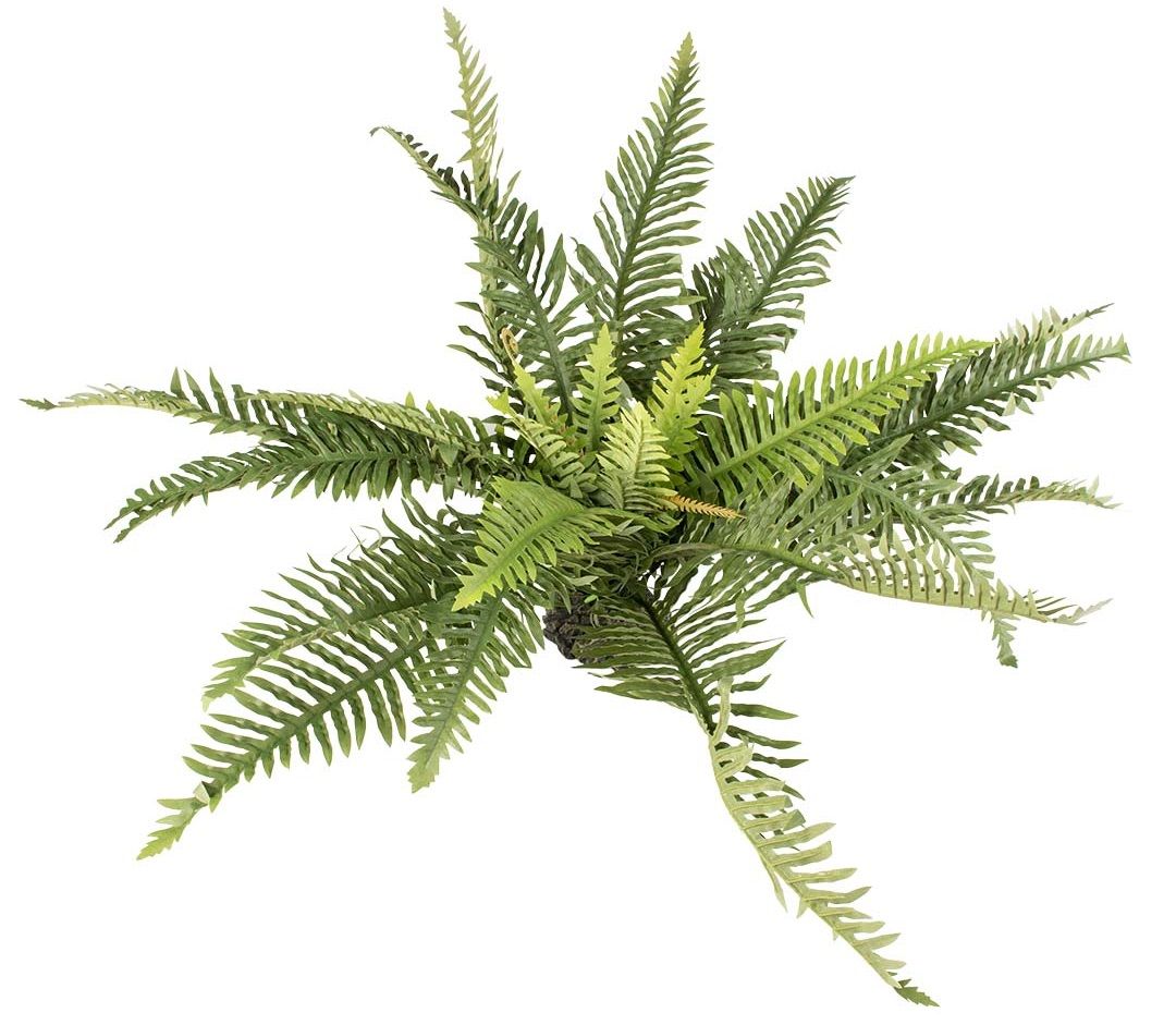 Terra Della - Kunstplant Varen Groen