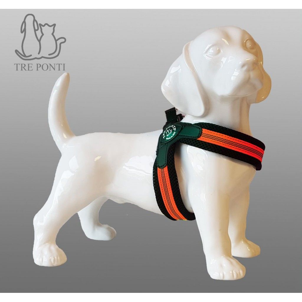 Tre Ponti - Fibbia Fluopop - Oranje