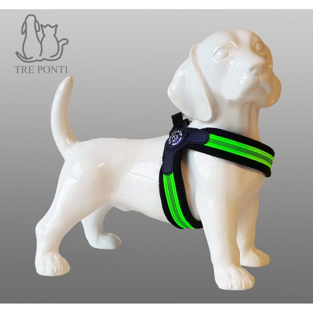 Tre Ponti Fluoro Mesh Fibbia Groen Ref