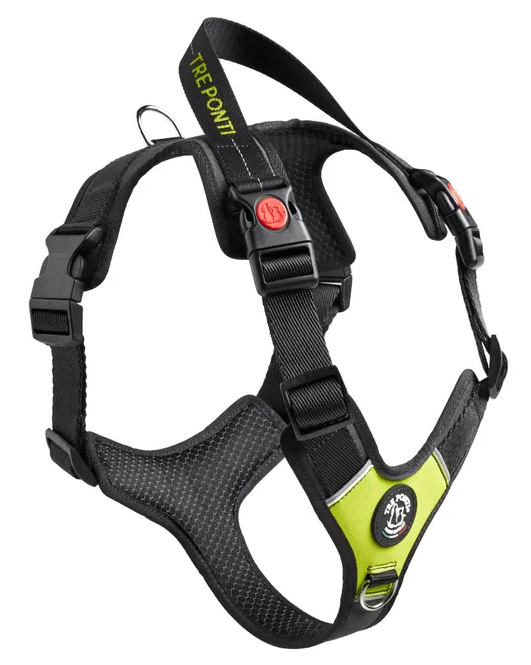 Tre Ponti - Harmonia Y-tuig