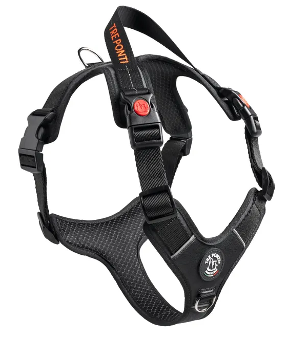 Tre Ponti - Harmonia Y-tuig