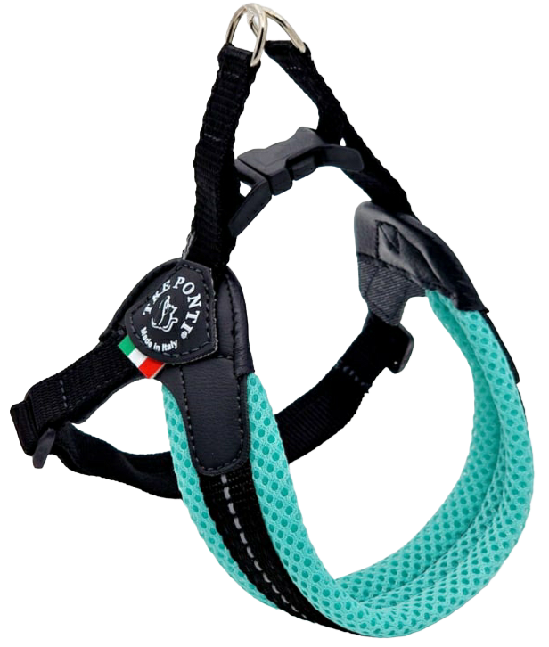 Tre Ponti Mesh Fibbia Mint Ref Verstelbaar