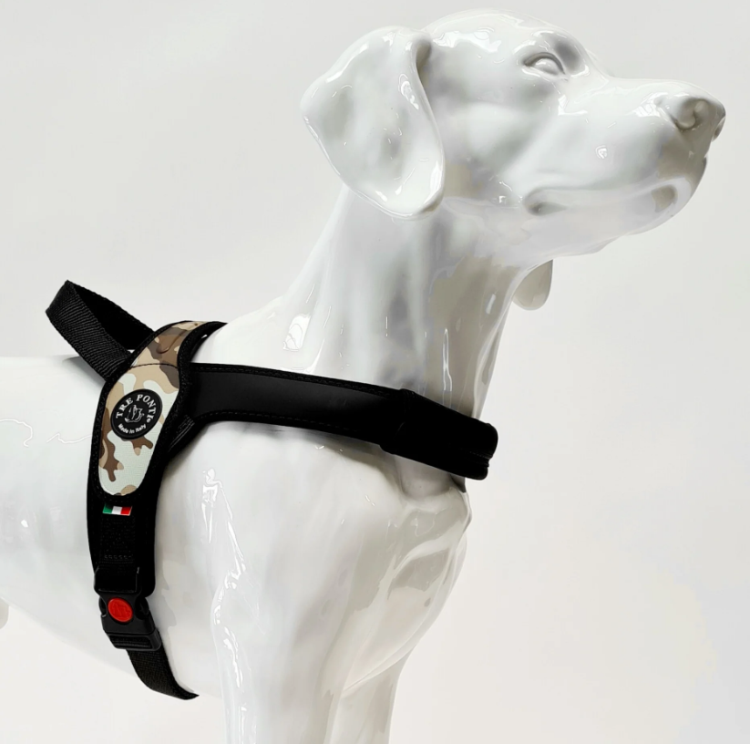 Tre Ponti - Primo Camou Dessert