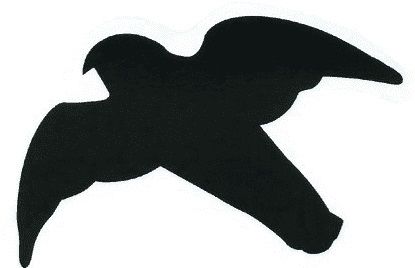 Trixie - Roofvogelstickers Zwart