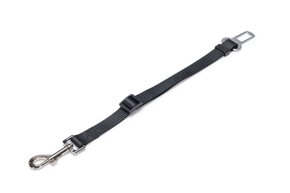 Veiligheids Autogordel