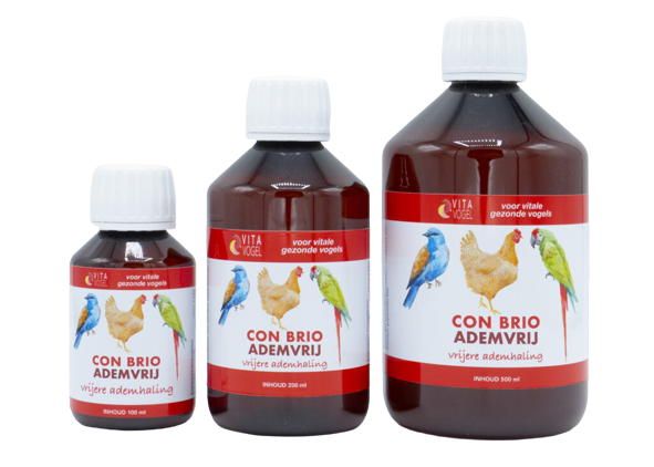 Vita Vogel - Con Brio Ademvrij